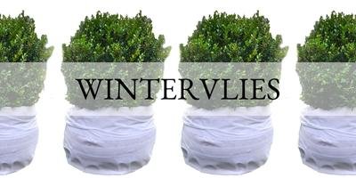 Wintervlies