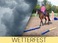 AMF Life Hindernisstangen Verstärktes Gittervlies, 4er Set, Länge: 1,8m je Stange