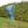 BioHelfer Kübelpflanzensack + Befestigungsband, Frostschutz für Pflanzen, 85cm Ø, Höhe: 150cm, Bordeaux