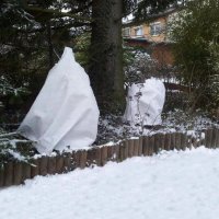 BioHelfer Wintervlies auf Rolle, 25m Länge, 1,18m x 25m - 80g/m² Schneeweiß