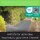 AMF Life Unkrautvlies, Gartenvlies - Anthrazit/Schwarz, 1m x 50m - 150g/m²