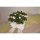 Sensalux Shine Tischläufer, apfelgrün, 30cm x 20m