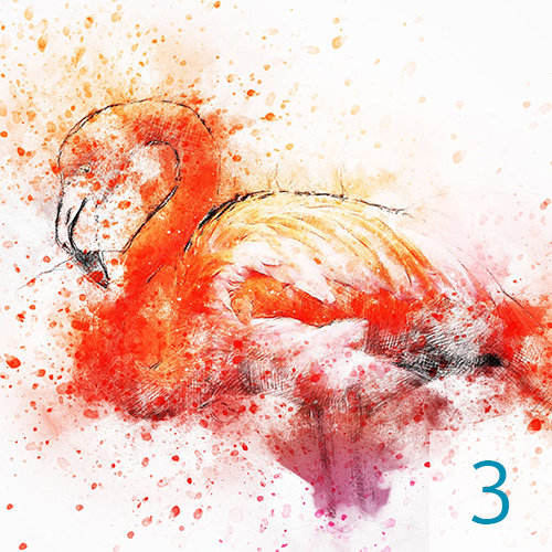 Nr. 3 - Flamingo